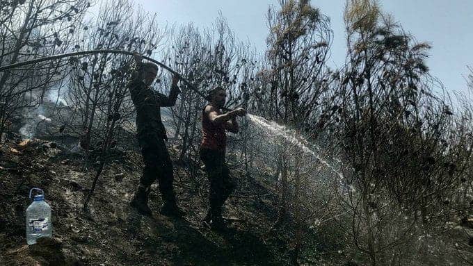 Dégâts causés par les incendies : Le ministre de l'agriculture aborde le sujet incendies de forêt