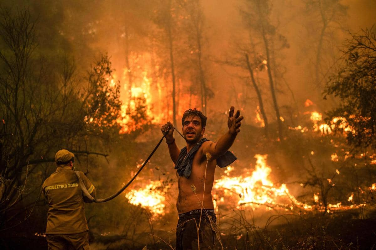 Incendie Algérie
