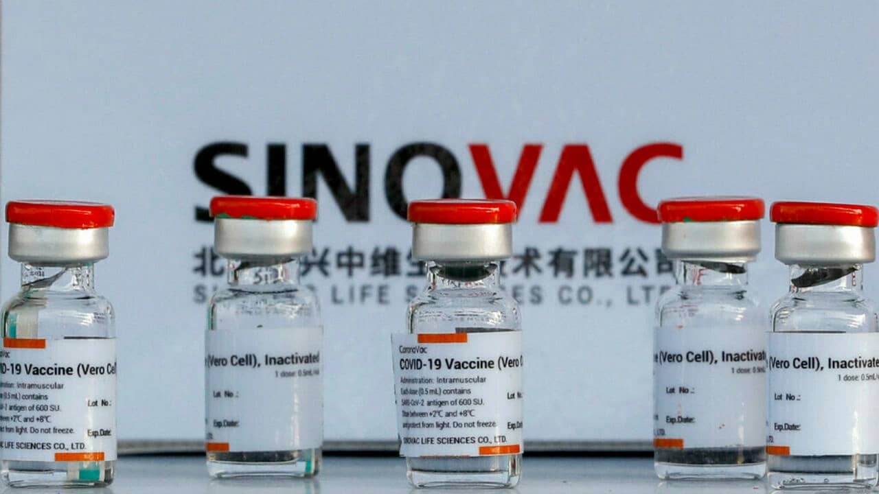 L’Algérie reçoit un nouveau lot du vaccin chinois Sinovac SINOVAC