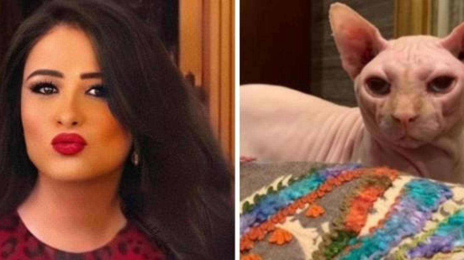 ?Yasmine Abdel Aziz mène la tendance sur Google et les réseaux sociaux grâce à... Yasmine Abdel