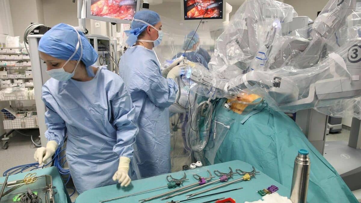 Médecine aux Etats-Unis : Un cœur de porc transplanté avec succès dans un corps humain