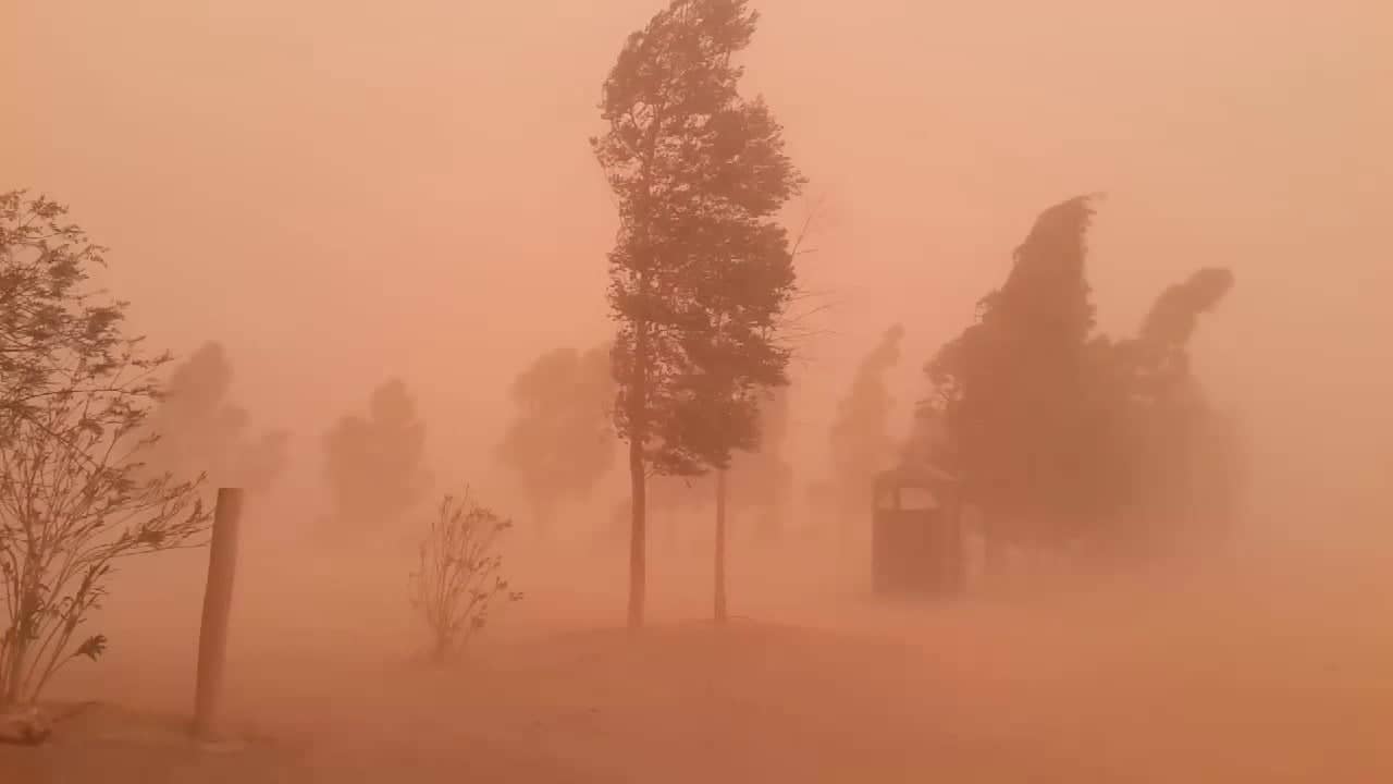 Météo Algérie :Voici la liste des régions qui seront touchées par des vents violents 
