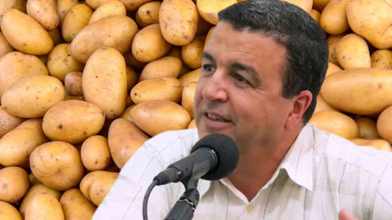 Algérie :très grande augmentation du prix de la pomme de terre