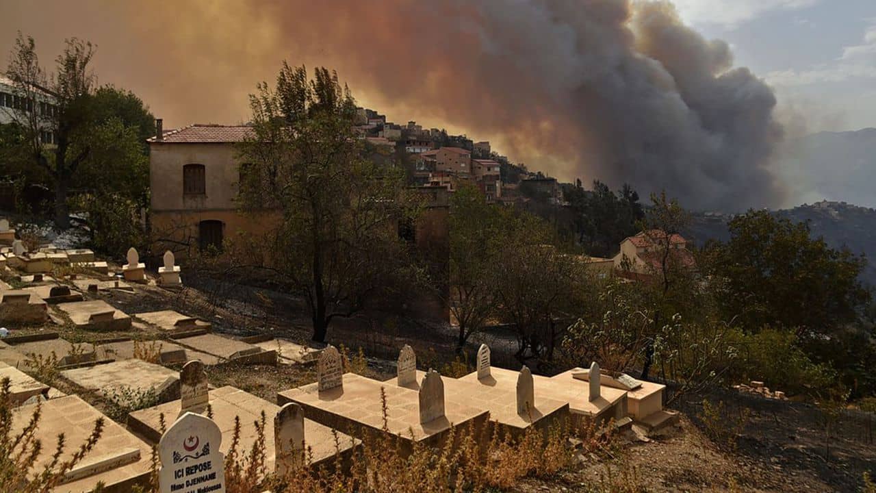 Smoke billows from a wildfire in the forested hills of the Kabylie region, east of the capital Algiers, on August 10, 2021. - Wildfires fanned by blistering temperatures and tinder-dry conditions have killed at least seven people in Algeria, the interior minister said, adding the fires had criminal origins. (Photo by Ryad KRAMDI / AFP)