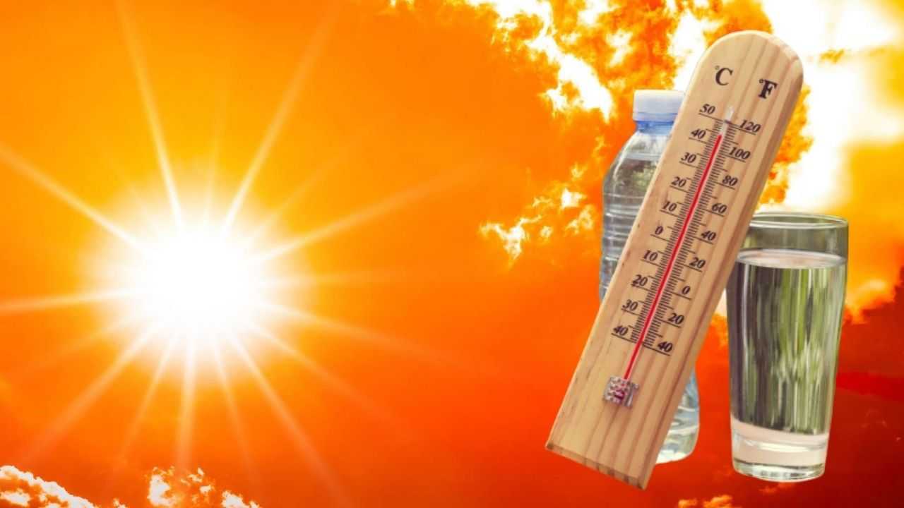 Météo Algérie : Alerte canicule, les prévisions pour le 1er août 2024