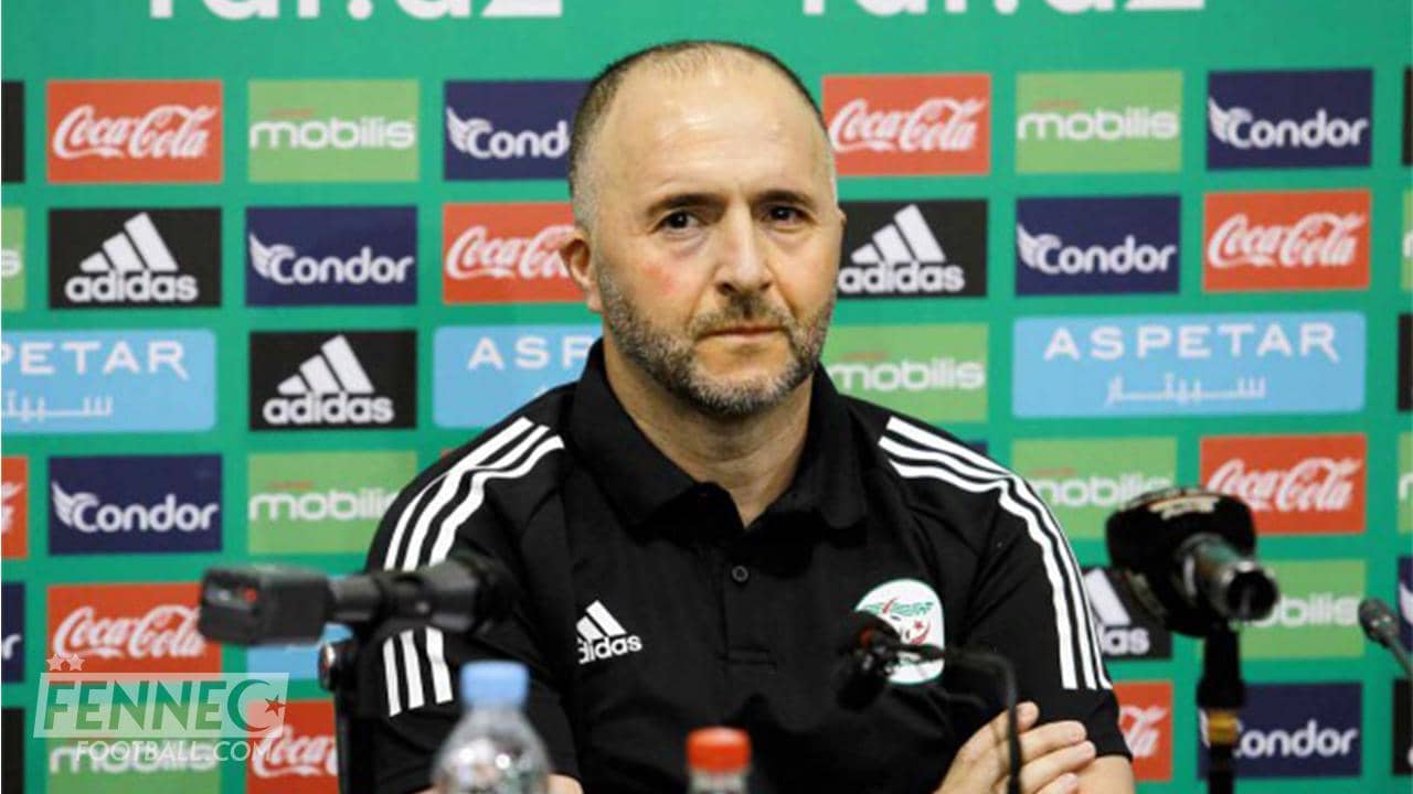 Belmadi sera t'il toujours l'entraineur des fennecs? voici la réponse étonnante du nouveau patron de la FAF