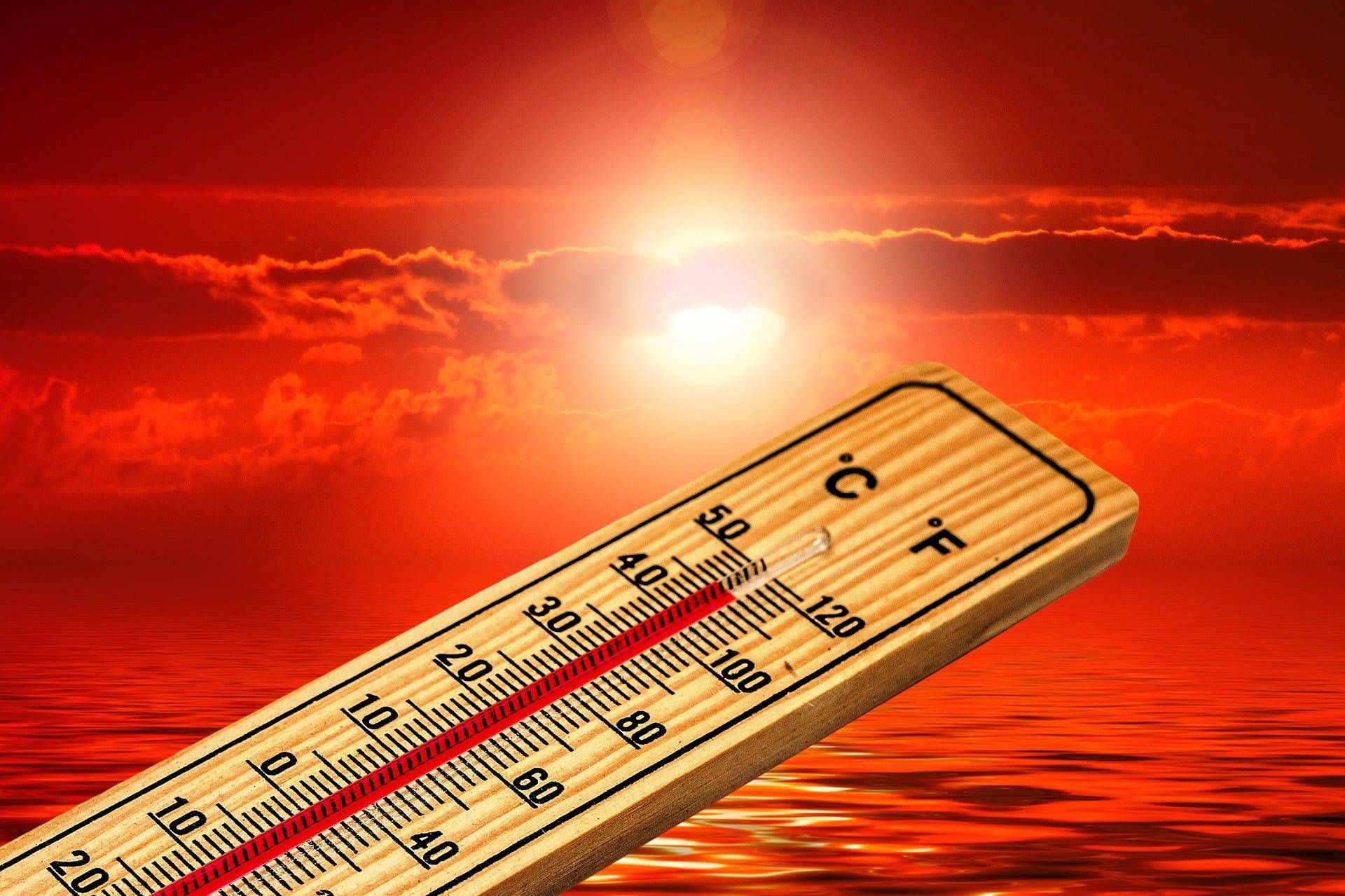 Canicule en Algérie : quatre wilayas du nord en alerte rouge ce 11 juillet