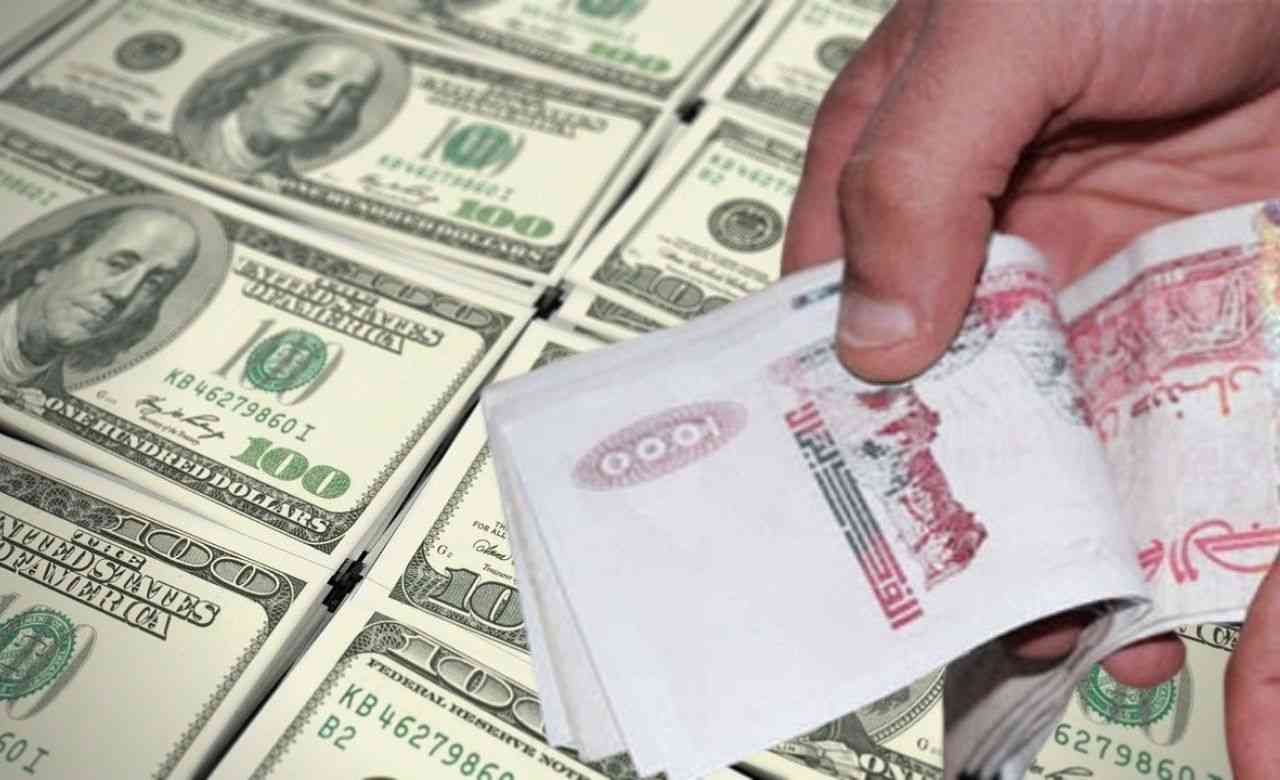 Algérie : Des différences de valeur entre les billets de dollars au marché noir des changes