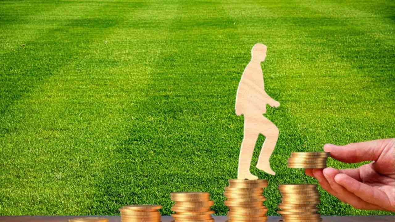 Tout savoir sur les salaires des entraîneurs du championnat algérien