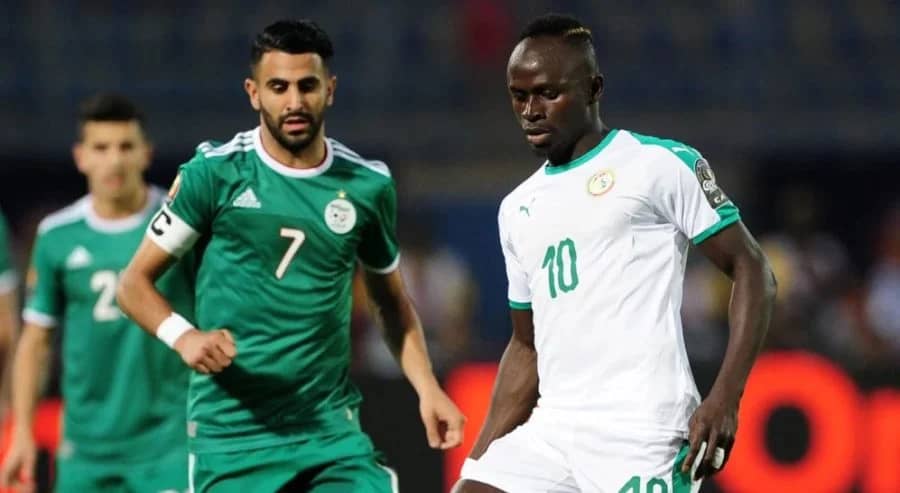 Puma, l'Algérie sur les pas du Maroc et du Sénégal ? Puma, l'Algérie sur les pas du Maroc et du Sénégal