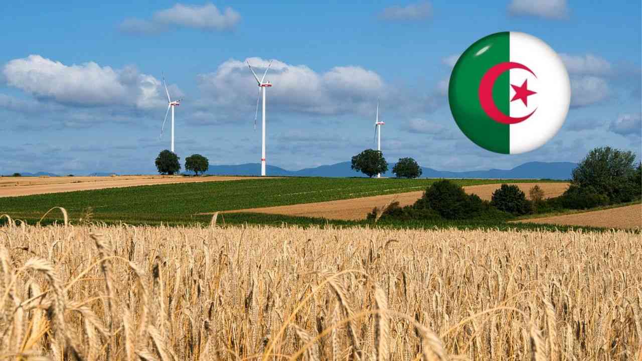 Agriculture : Des terrains alloués à la culture céréalière en Algérie Renforcer l'Agriculture algérienne