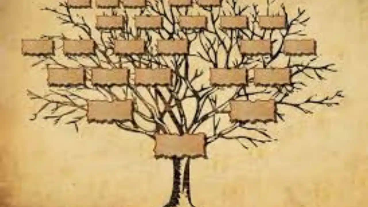 ANOM Algérie : retrouvez vos ancêtres en ligne