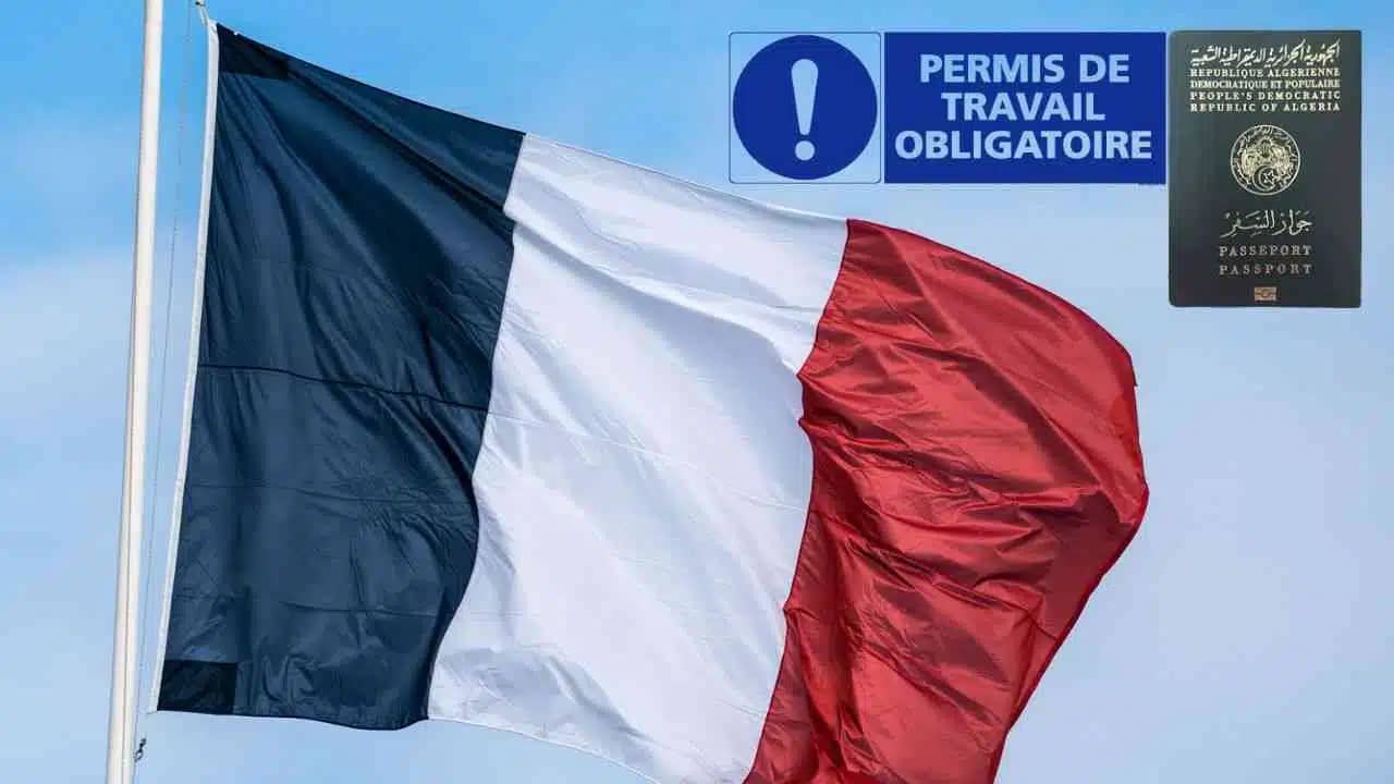 Permis de travail en France : voici comment les Algériens peuvent l’obtenir Permis de travail en France : voici comment les Algériens peuvent l’obtenir