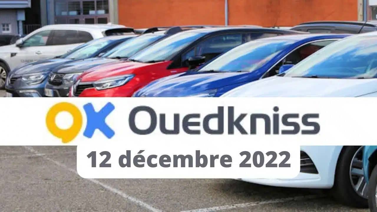 Ouedkniss auto : découvrez les modèles de voitures disponibles ce 12 décembre 2022