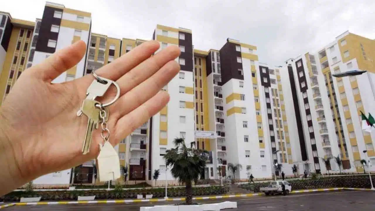 Aubaine !  Voici le nombre de locaux commerciaux mis en vente par AADL