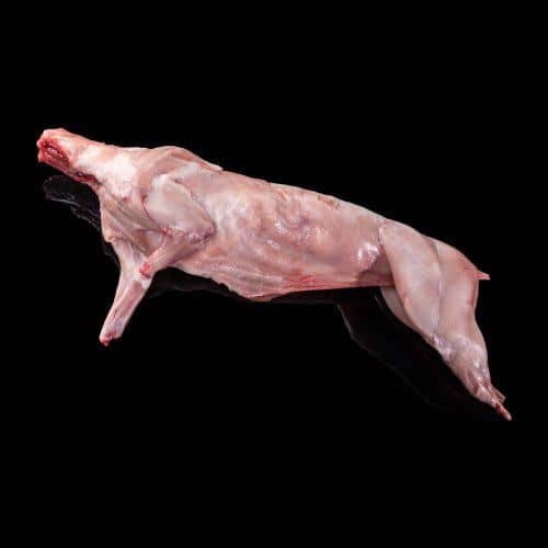Viande de chat à base de lapins dans la capitale lapin-sans-tete-17-kg