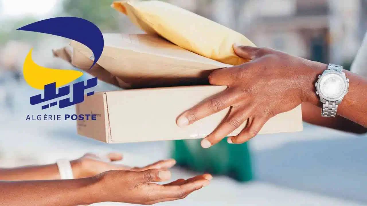 Tracking Poste Dz : l’interface de suivi des colis en Algérie et à l’international