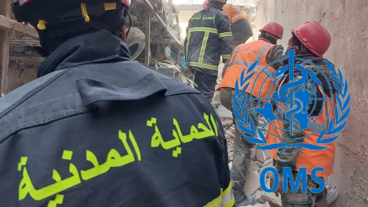 Séisme en Syrie : l'OMS séduit par la Protection civile algérienne