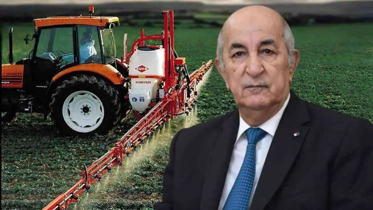 Souveraineté alimentaire : Voici le bilan de l’Algérie Souveraineté alimentaire : Voici le bilan de l’Algérie