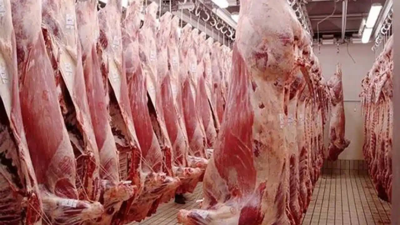 Ramadan 2025 : vers la stabilisation du prix de la viande