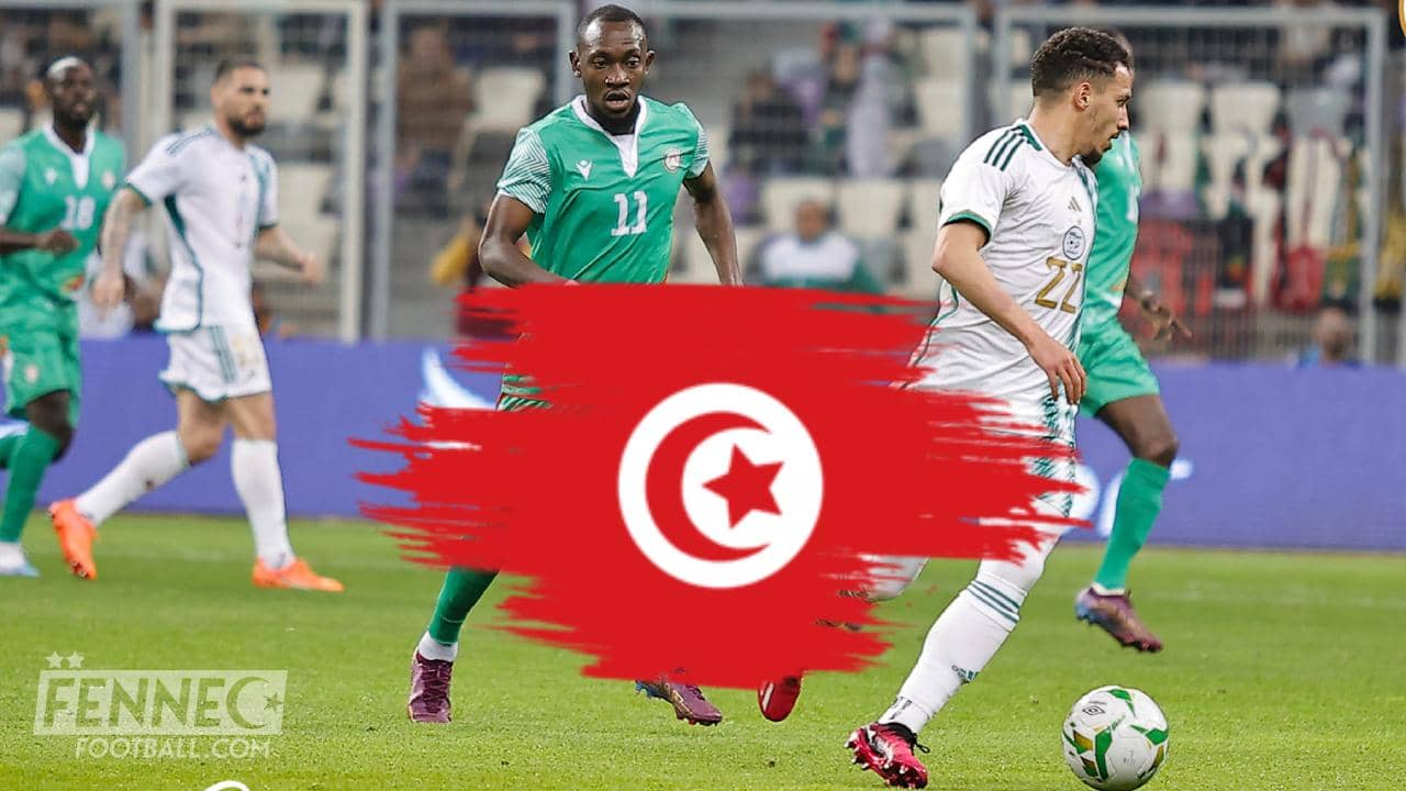 Niger vs Algérie : les Tunisiens font leur choix (vidéo) Niger vs Algérie : les Tunisiens font leur choix (vidéo)