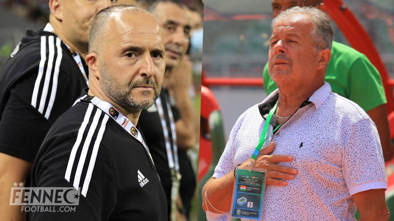 CAN 2024/Niger-Algérie : terrible nouvelle pour les Fennecs Niger-Algérie : terrible nouvelle pour les Fennecs