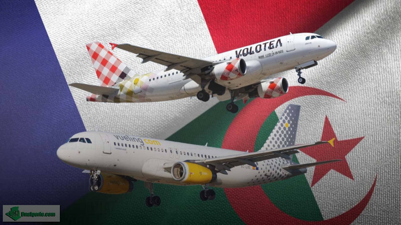 Algérie : un avion de Vueling envahi par plusieurs insectes