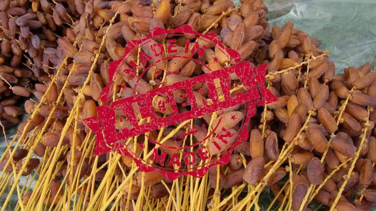 VIDÉO. Dattes algériennes (Deglet Nour) : un Français sous le choc