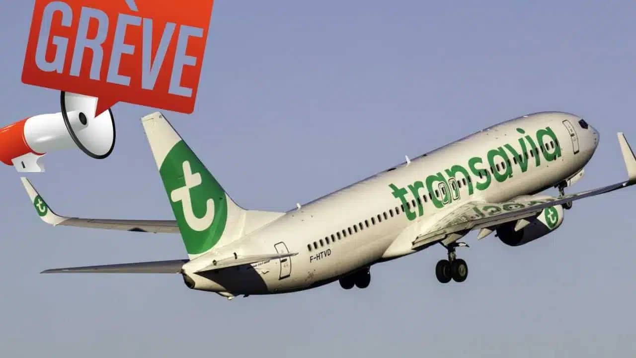 Grève en France : Voici les vols de Air Algérie et Transavia qui seront annulés !