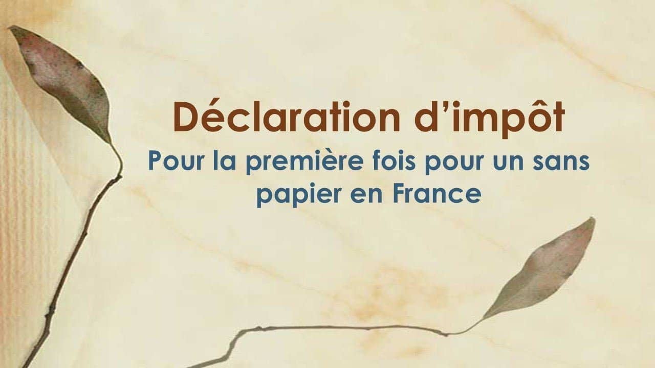 Les Sans-papiers en France  doivent-ils déclarer leurs revenus aux impôts ? Découvrez !