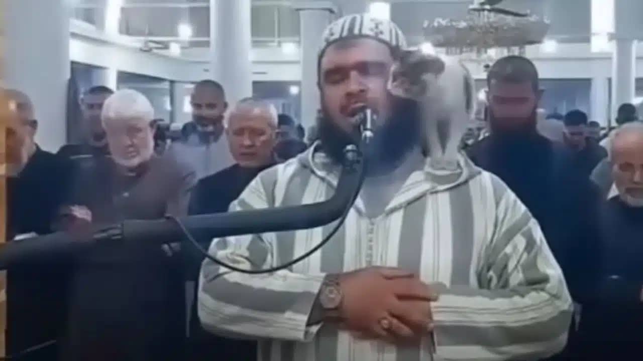 Vidéo du chat : Voici les premiers mots de l’imam algérien suite au buzz mondial