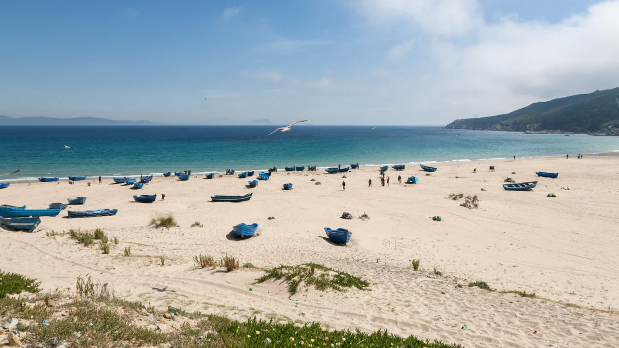 Maroc : découvrez les plages les plus propres cette année Maroc : découvrez les plages les plus propres cette année