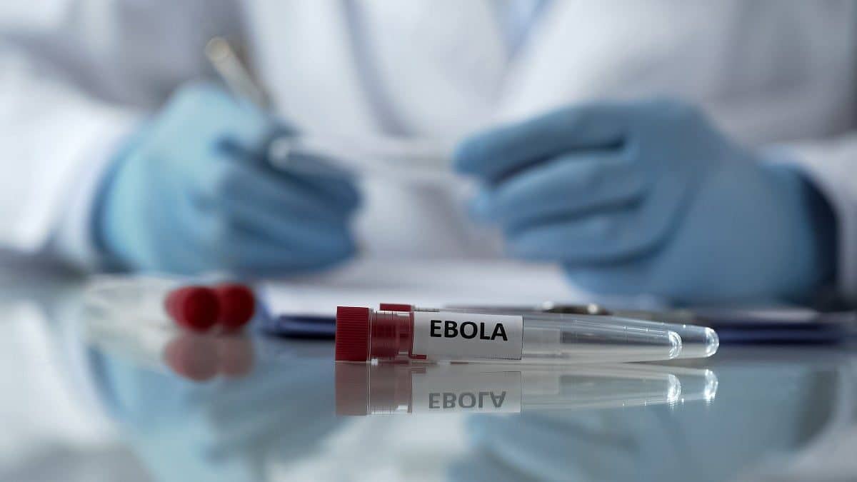 Rumeurs sur des cas d'Ebola en Algérie : les autorités démentent Rumeurs sur des cas d'Ebola en Algérie : les autorités démentent