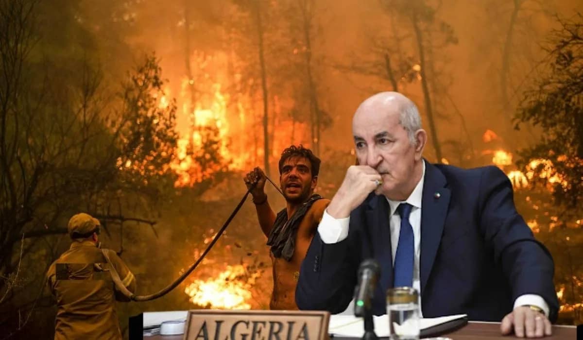 Feux de brousse : Tebboune présente ses condoléances aux familles des civils et militaires décédés