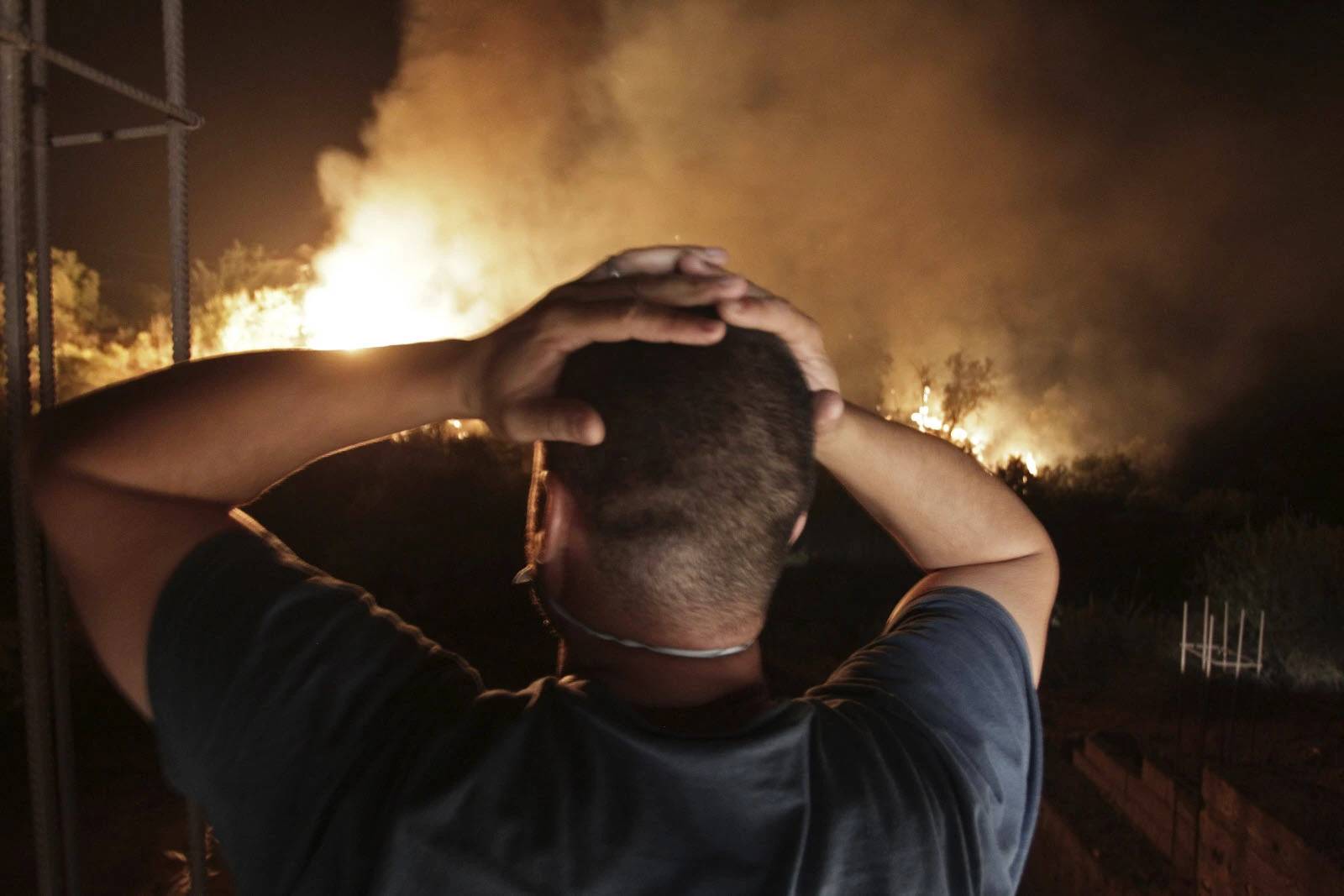 Incendies au Maroc : 3 900 hectares de forêts dévastées