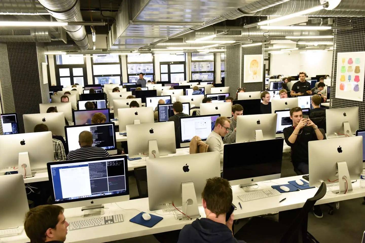 Fuite des talents numériques en Algérie : un enjeu majeur pour l'avenir économique