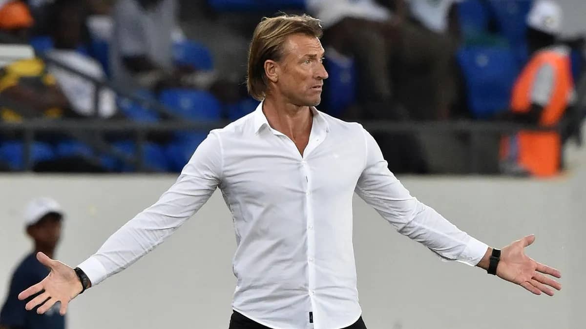Voici le nouveau successeur d'Hervé Renard Hervé Renard