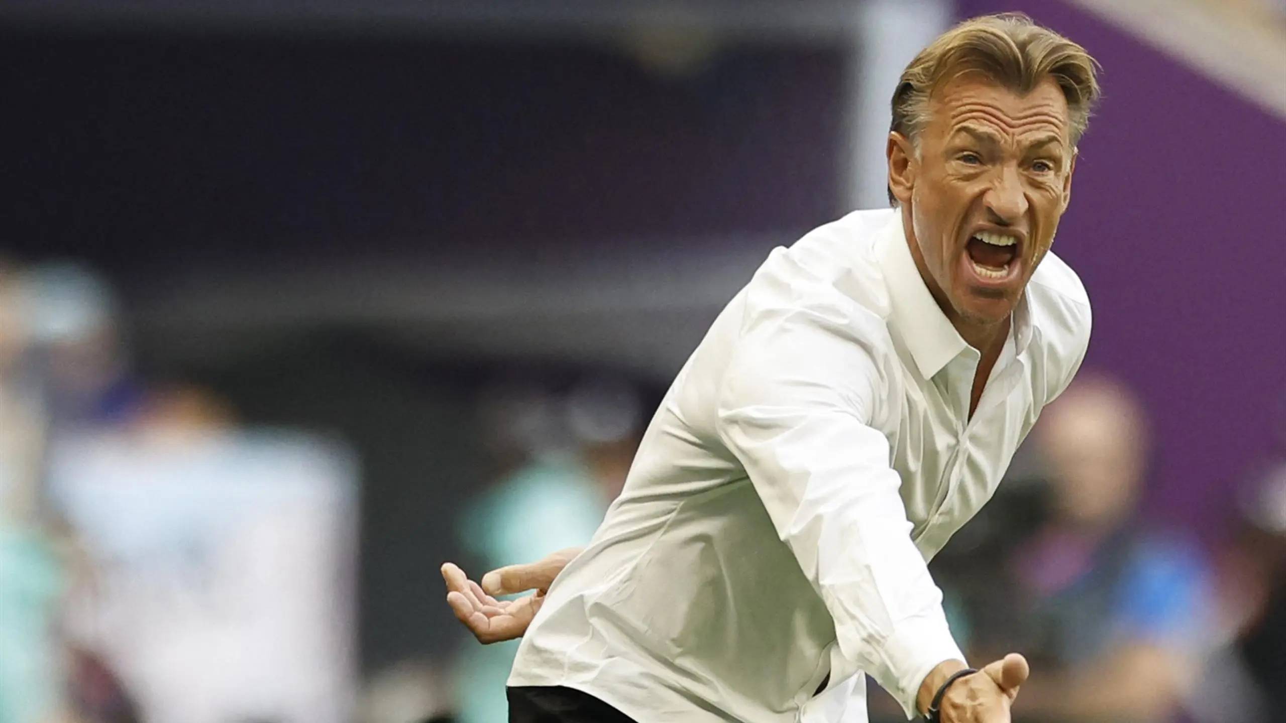 Hervé Renard, partage son lien spécial avec la légende Zidane Hervé Renard, partage son lien spécial avec la légende Zidane