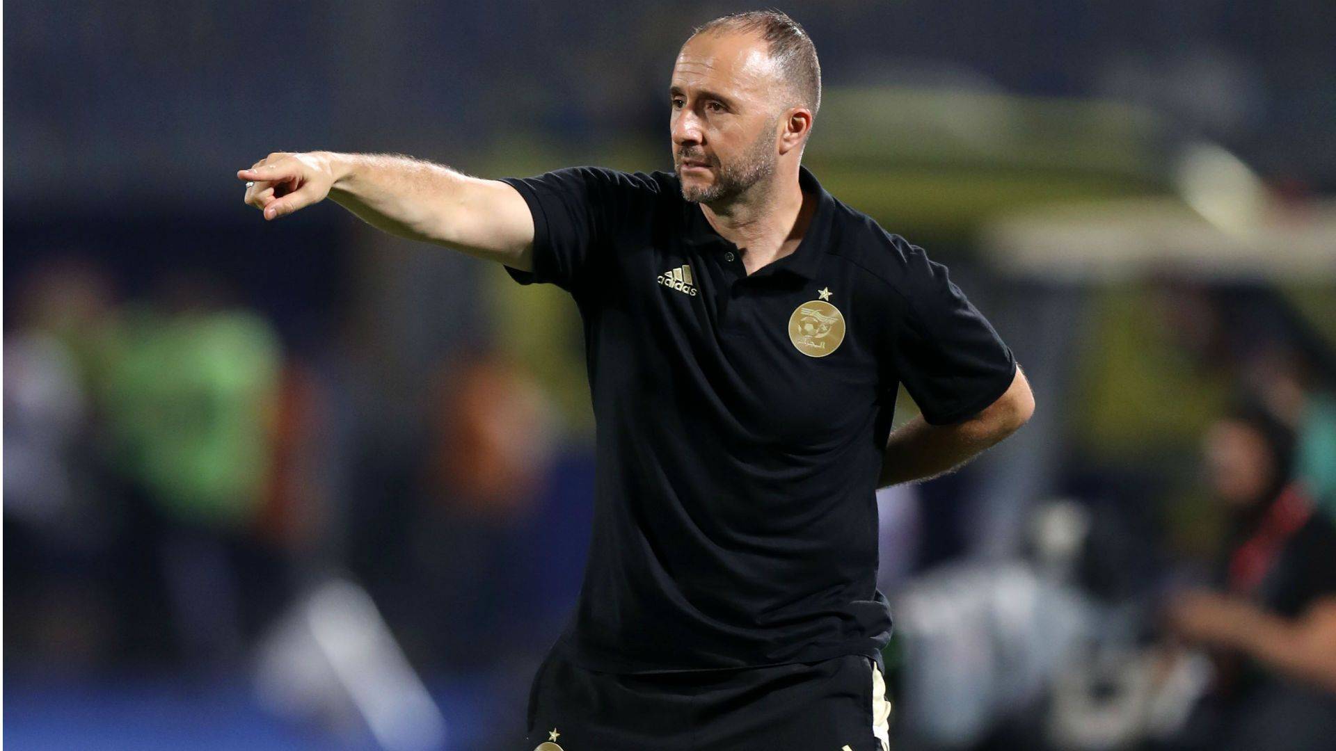 Djamel Belmadi Envisage le retour de quatre champions d'Afrique pour la CAN 2024