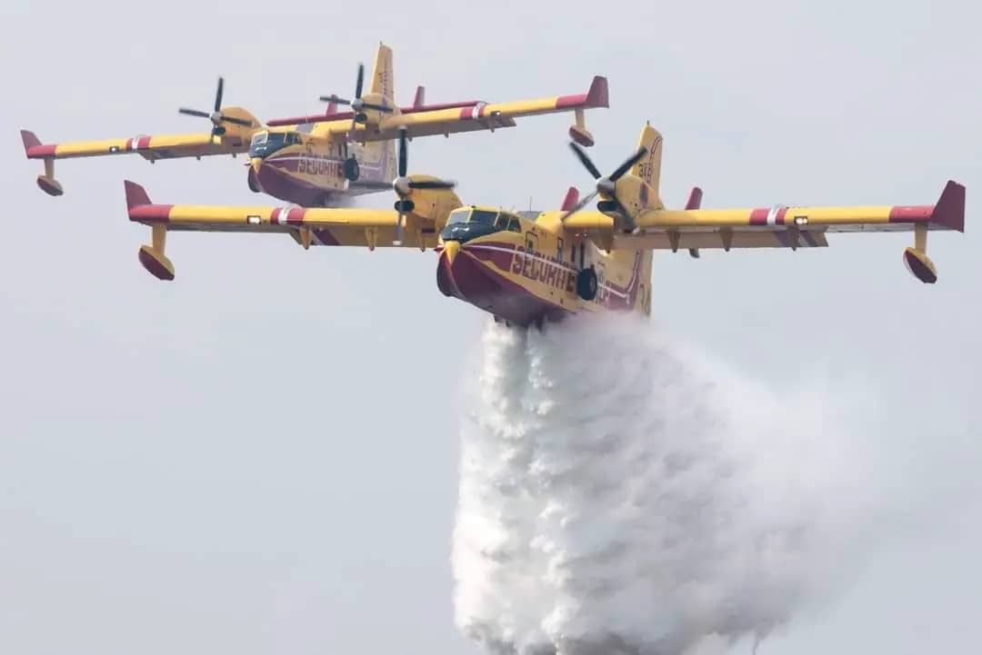 Algérie : La télévision étatique amène de force un Canadair marocain