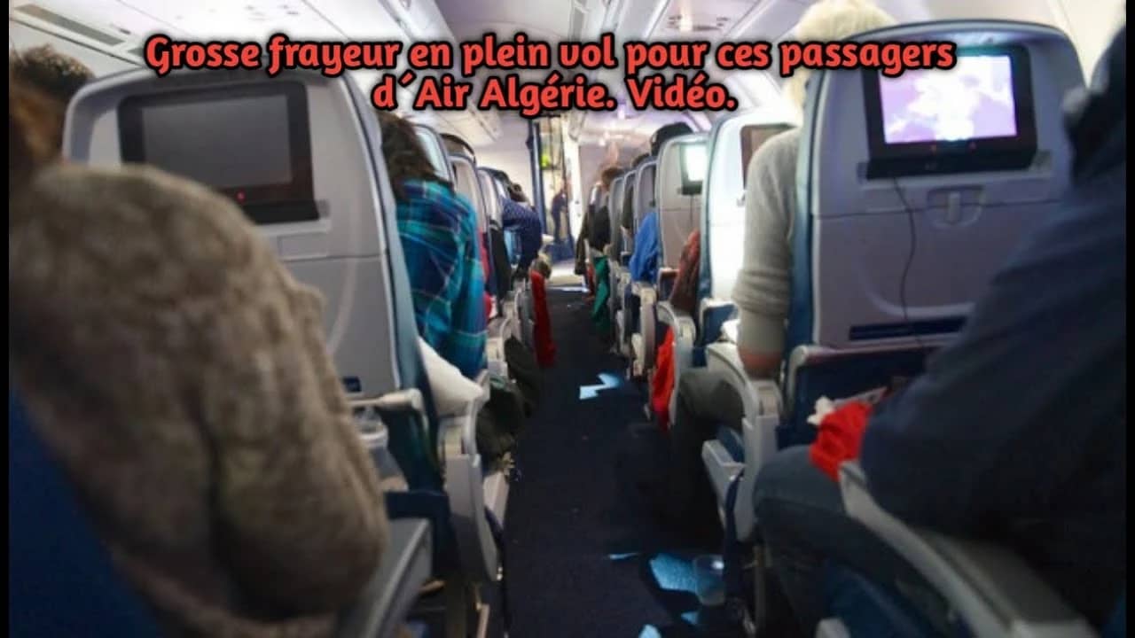 Enorme panique : des cafards prennent le contrôle d'un avion d'Air Algérie (vidéo)