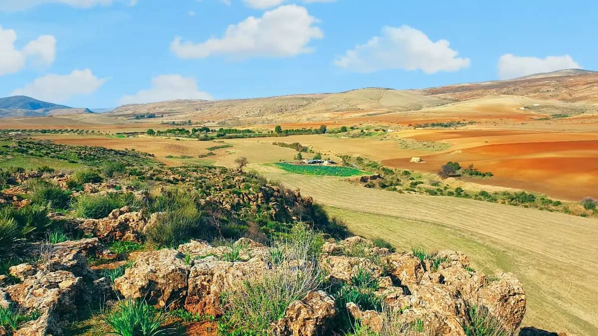 Blocages administratifs entravant l'investissement agricole en Algérie Blocages administratifs entravant l'investissement agricole en Algérie