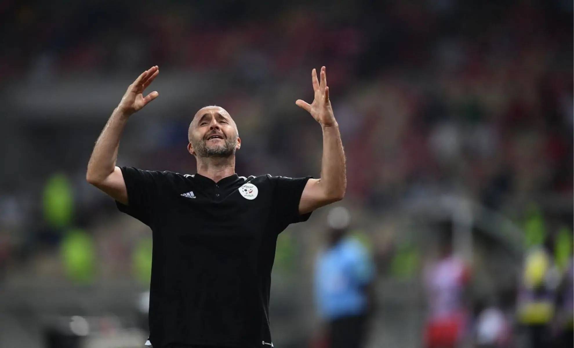 Elim Mondial 2026 : Ce détail agace Djamel Belmadi !