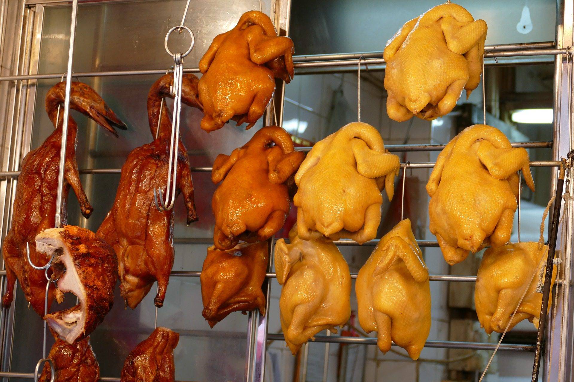 Flambée des prix de la viande blanche en Algérie : Le poulet devient inaccessible Flambée des prix de la viande blanche en Algérie : Le poulet devient inaccessible