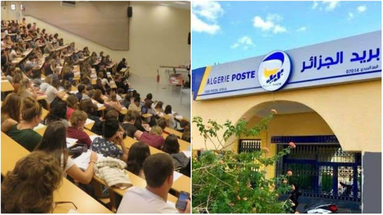 Découvrez l'annonce cruciale du Ministre Baddari concernant la date de versement des bourses étudiantes Découvrez l'annonce cruciale du Ministre Baddari concernant la date de versement des bourses étudiantes