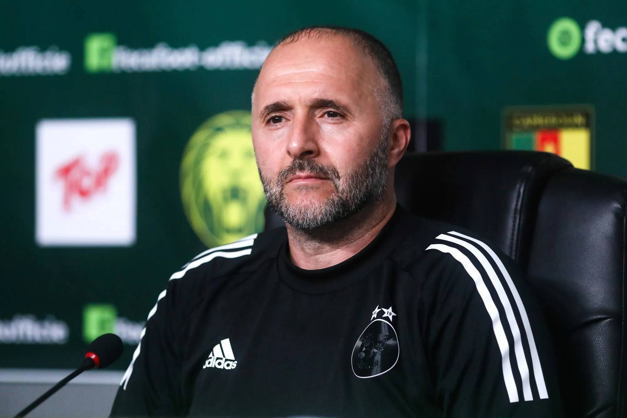 Belmadi