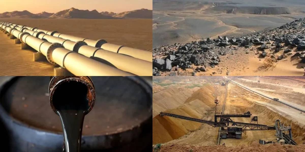 Top 20 des pays détenant le plus de ressources naturelles:l'Algérie occupe cette place Ressources naturelles: l'Algérie dans le top 20