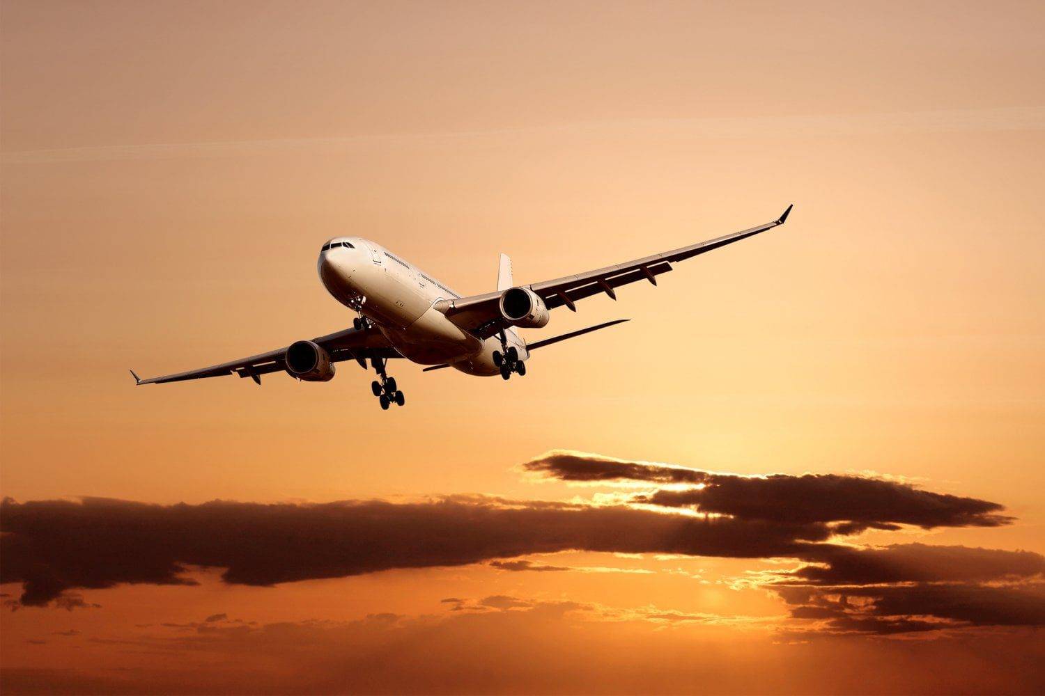 Découvrez la vidéo virale d'un passager avec une « arme » en avion