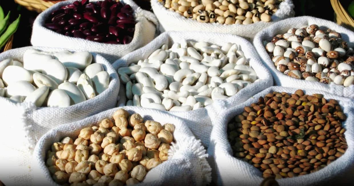 Algérie: importation de 16 000 tonnes de légumineuses en vue