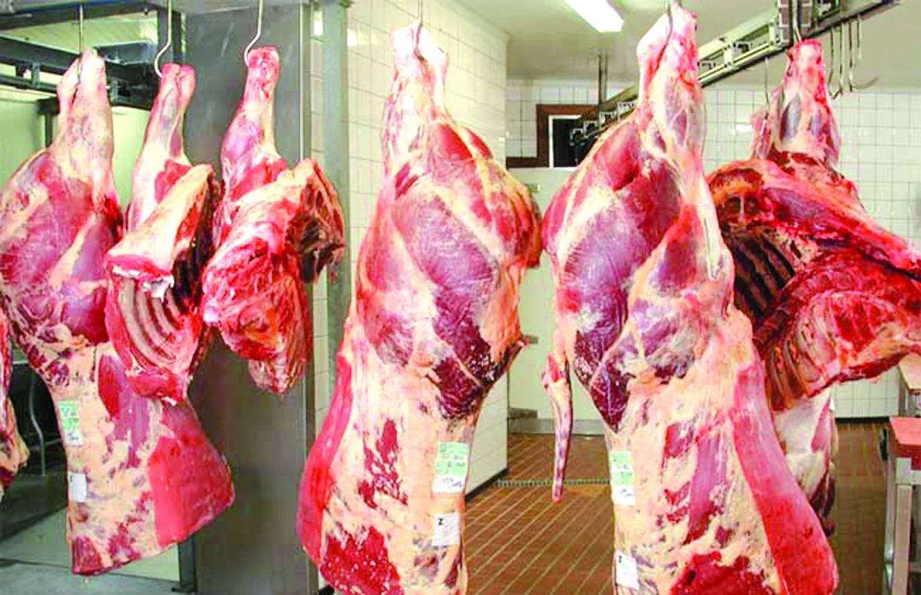 Le bœuf irlandais est déjà en Algerie